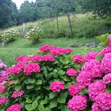 Domocantabria, Cupula Experiencias