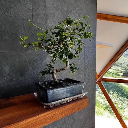 Domocantabria, Cupula Experiencias