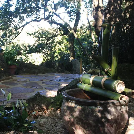 Domocantabria * Sobremazas