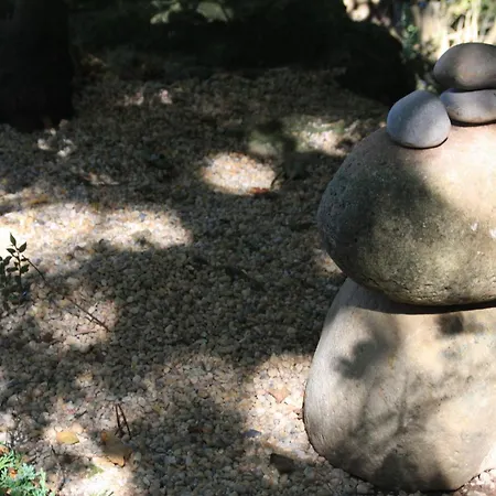 Domocantabria, Cupula Experiencias *