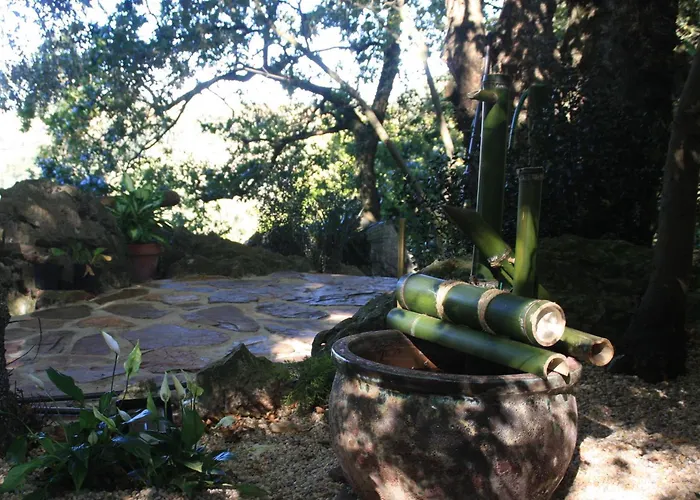 Domocantabria * Sobremazas